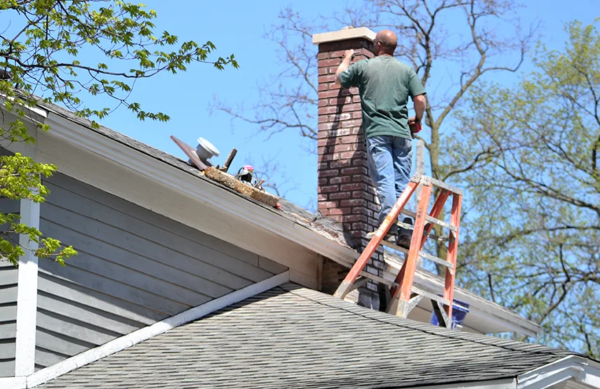 Chimney & Fireplace Inspections Services in Eustis, FL